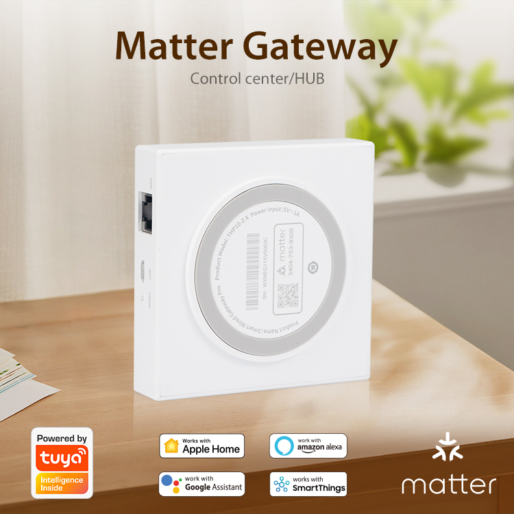 Tuya Zigbee Matter Thread Gate - Matter Hub Thread recensie en prijs