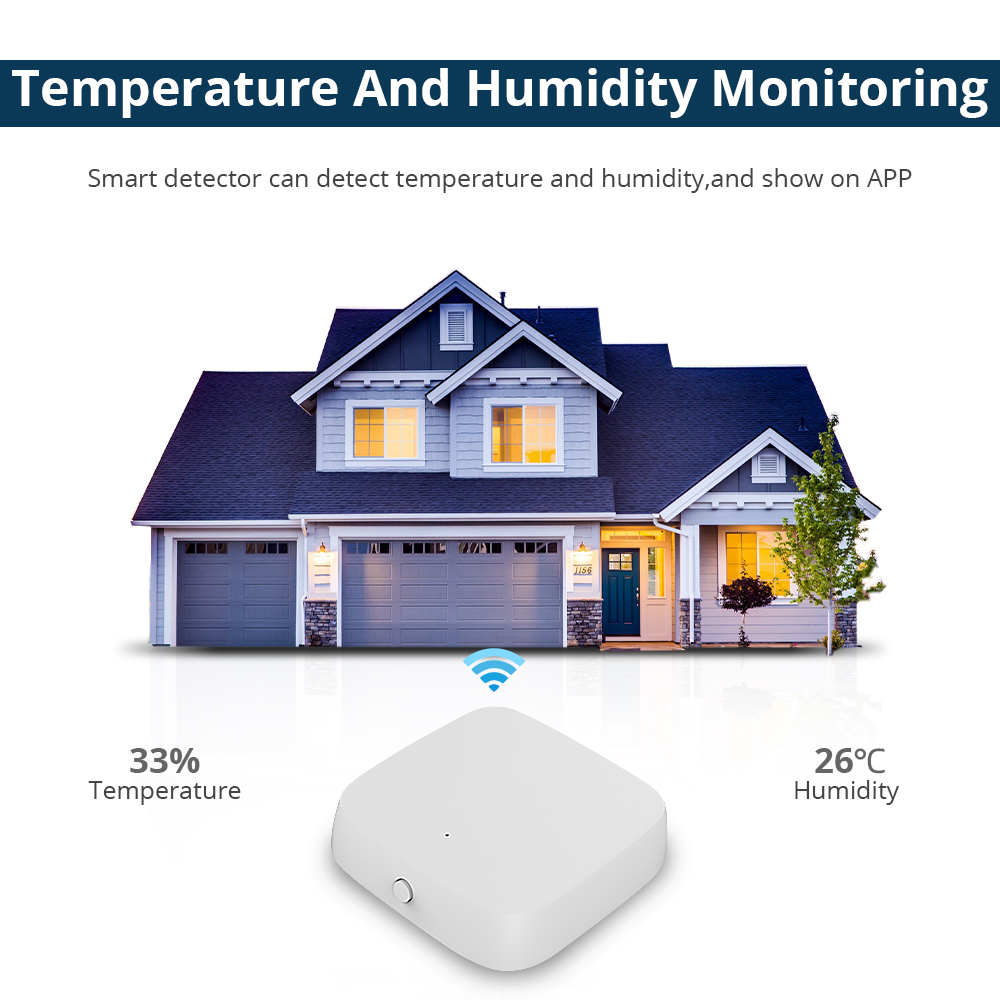 Zemismart Zigbee Temperature a - Matter Hub Thread recensie en prijs