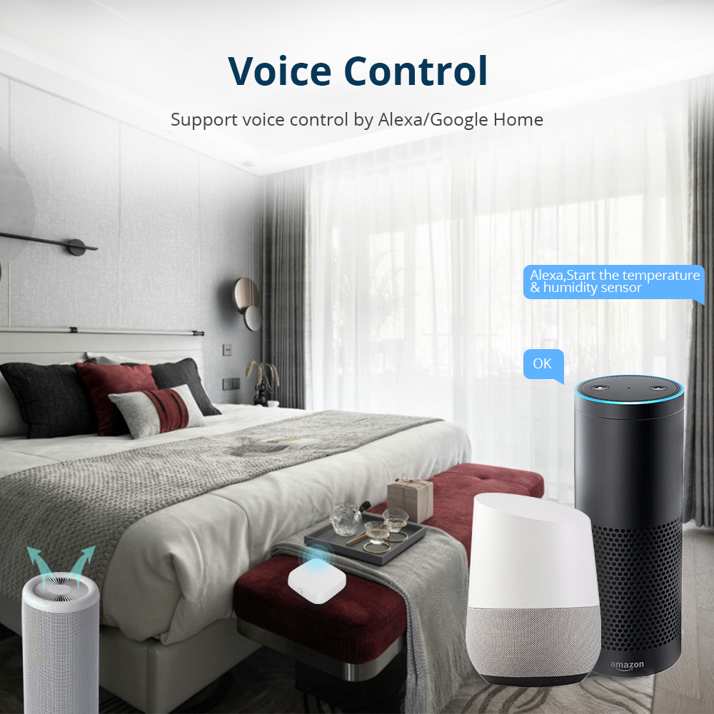Zemismart Zigbee Temperature a - Matter Hub Thread recensie en prijs