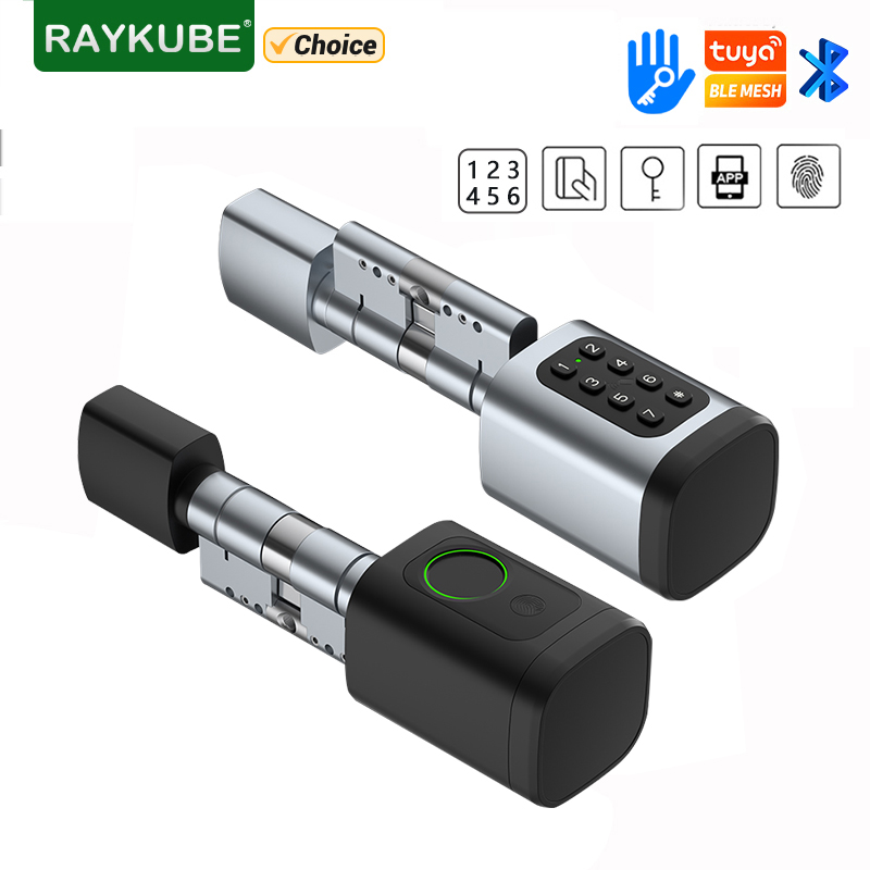 RAYKUBE V1 Tuya BLE TT Lock Sm - Home Automation System Diy recensie en prijs