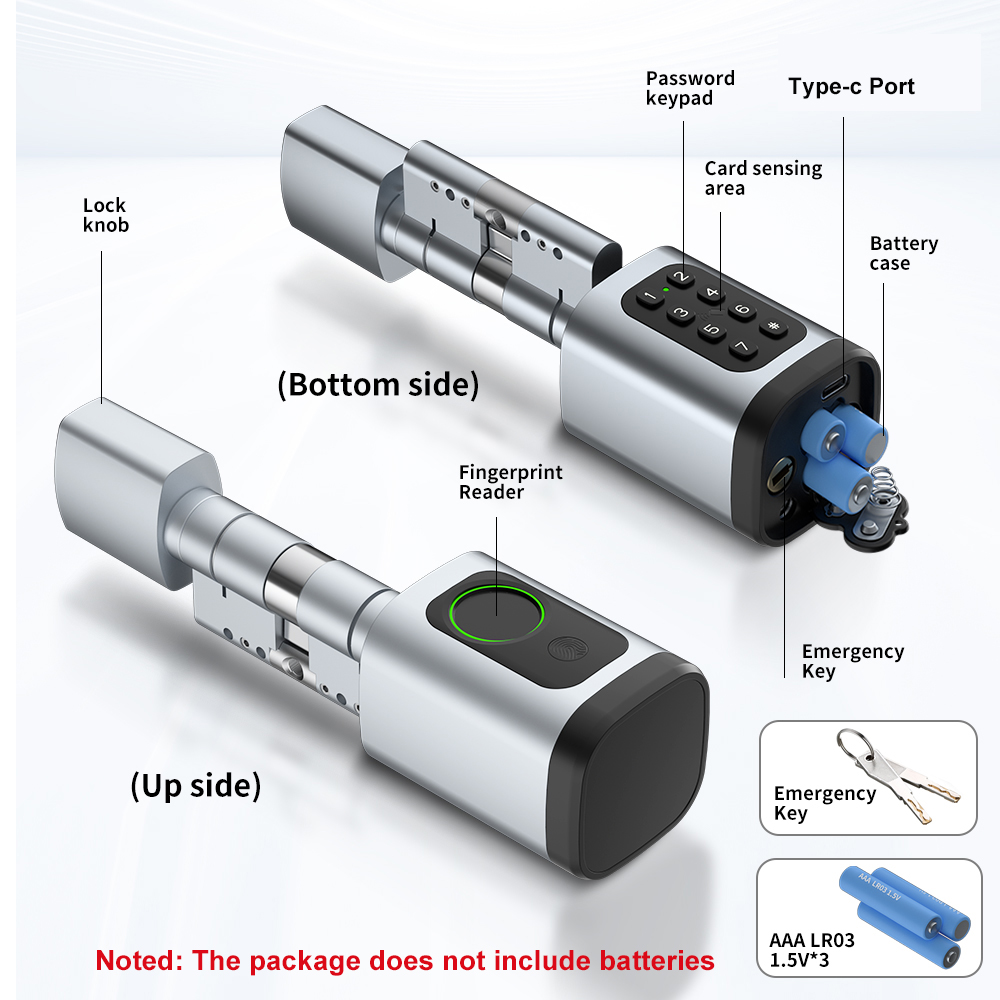 RAYKUBE V1 Tuya BLE TT Lock Sm - Home Automation System Diy recensie en prijs