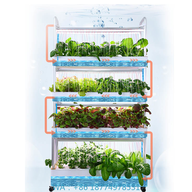 ydroponic Planting System Smar - Smart Home Automation Diy recensie en prijs