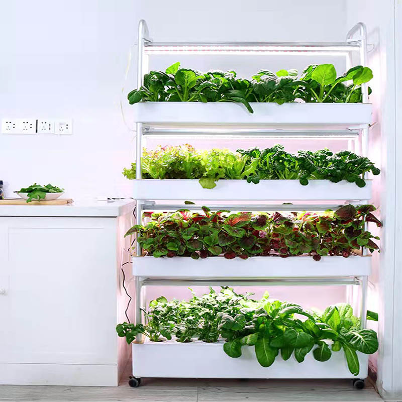 ydroponic Planting System Smar - Smart Home Automation Diy recensie en prijs