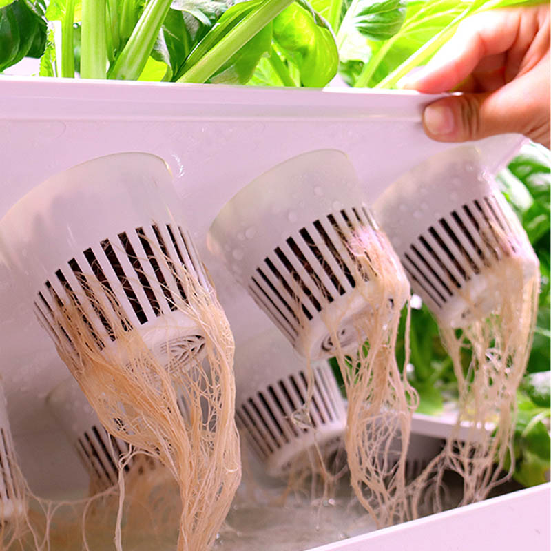 ydroponic Planting System Smar - Smart Home Automation Diy recensie en prijs
