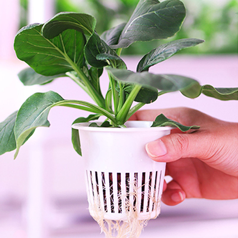ydroponic Planting System Smar - Smart Home Automation Diy recensie en prijs