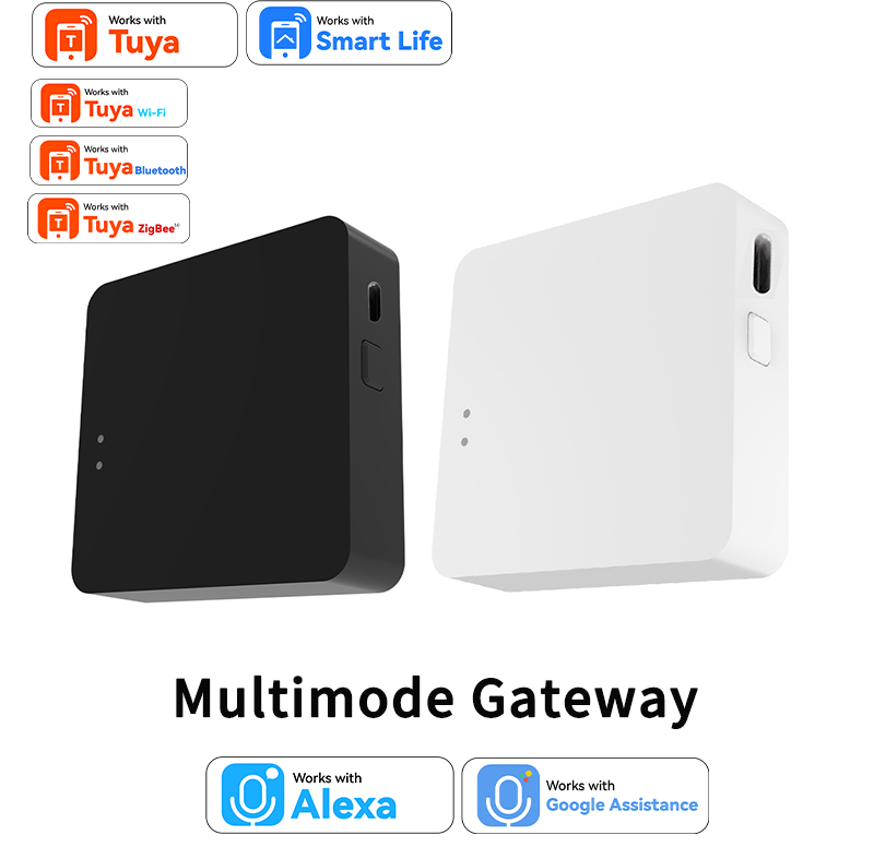Work with Tuya Smart Zigbee+ B - Diy Home Automation Hub recensie en prijs