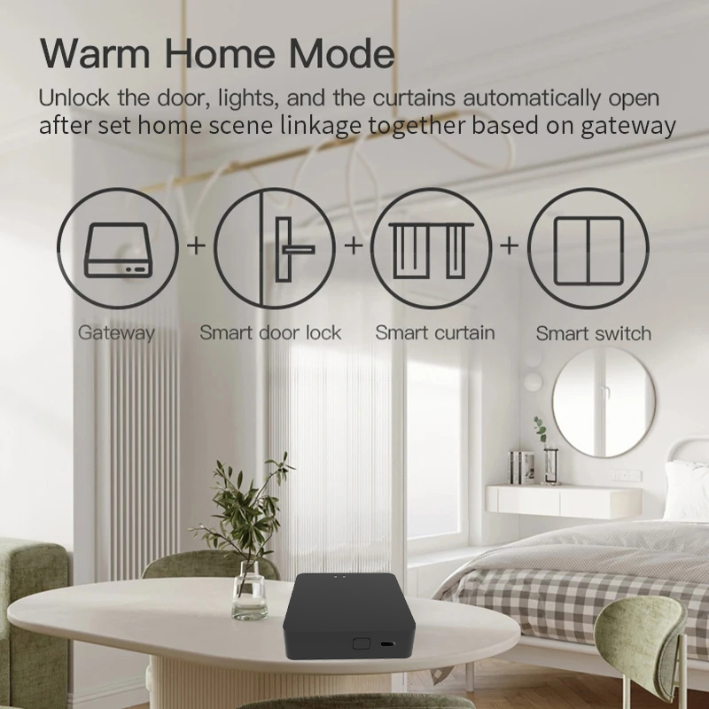 Work with Tuya Smart Zigbee+ B - Diy Home Automation Hub recensie en prijs