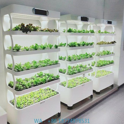 Hydroponic Automated Grow Syst - Home Automation System Diy recensie en prijs